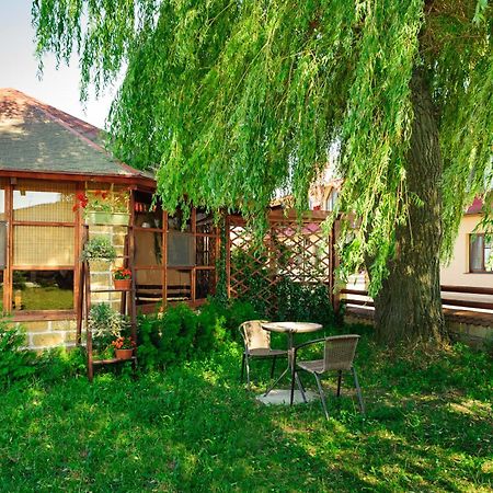 Hotel Zolota Pidkova Kozlin Kültér fotó