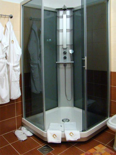 Hotel Zolota Pidkova Kozlin Szoba fotó